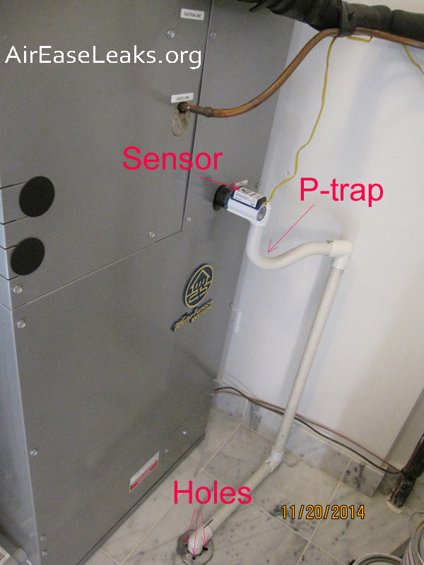 P-trap