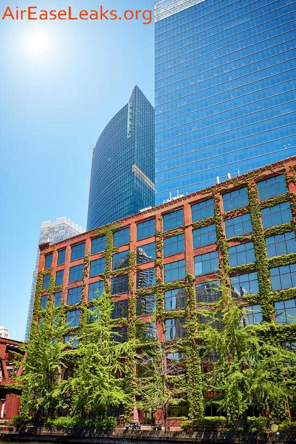 Green Chicago